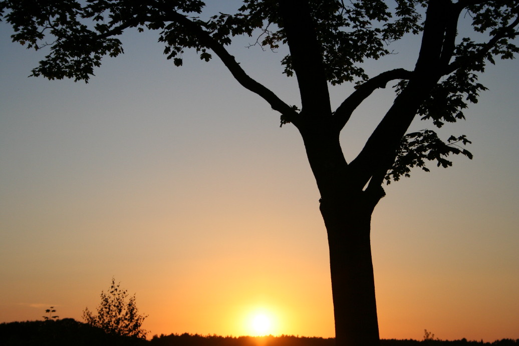 "Brandenburger Sonnenuntergang"