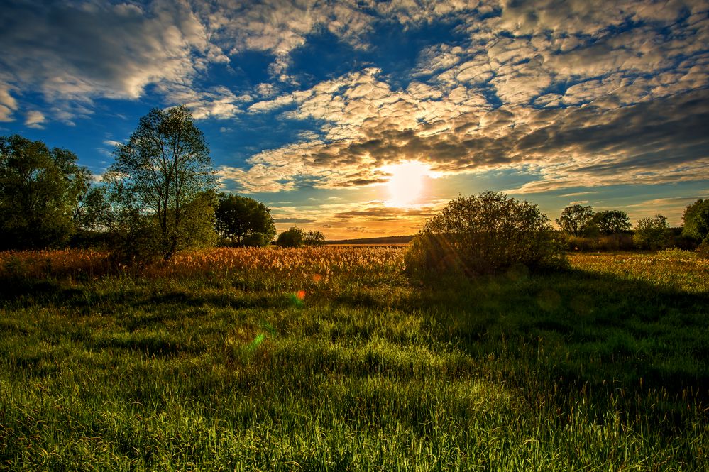 Brandenburger Sunset von °°DiBu°° 