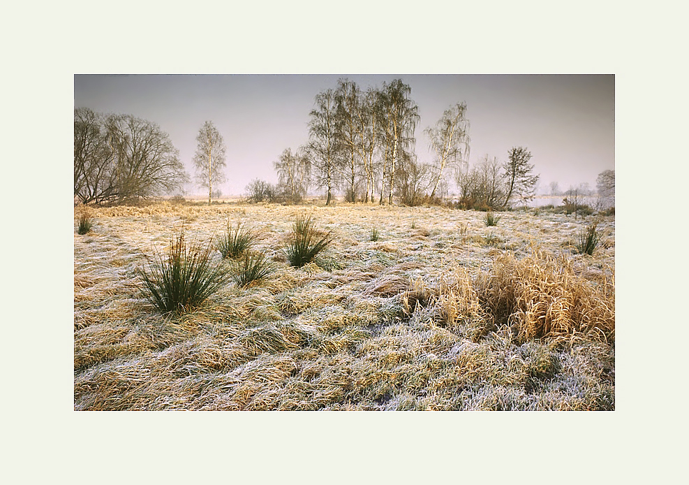 Brandenburger Winterlandschaft