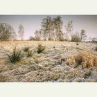 Brandenburger Winterlandschaft