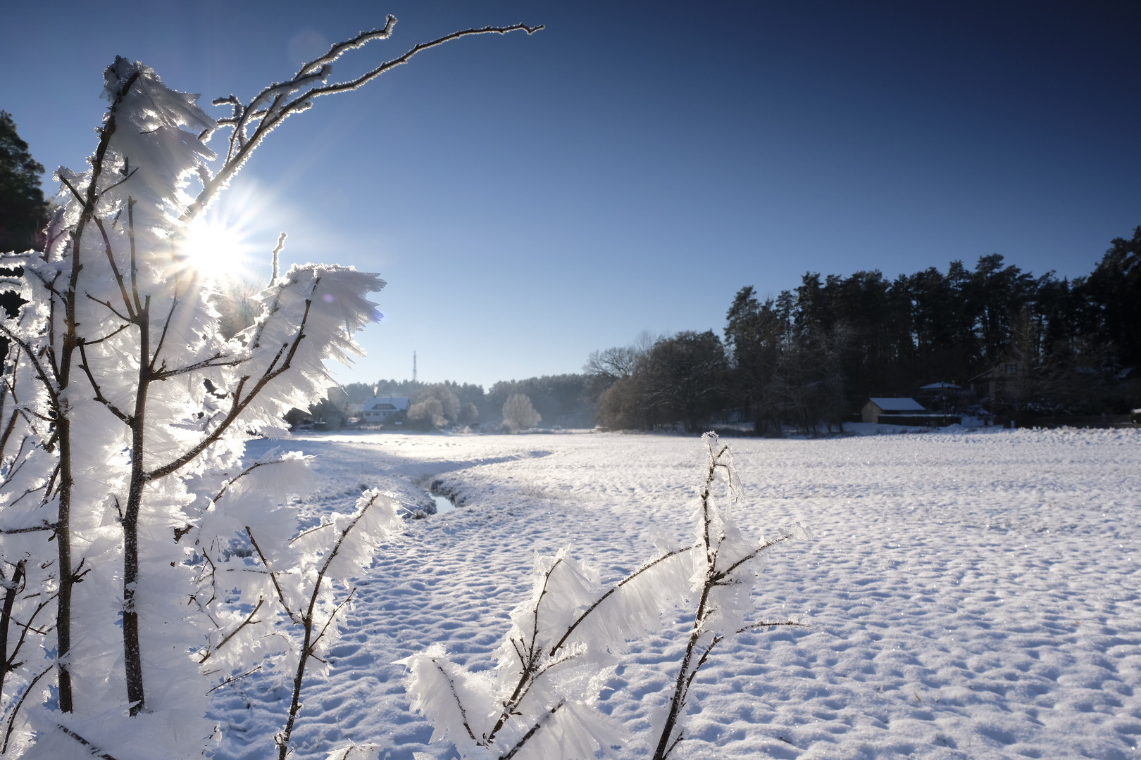 Brandenburger Wintersonne