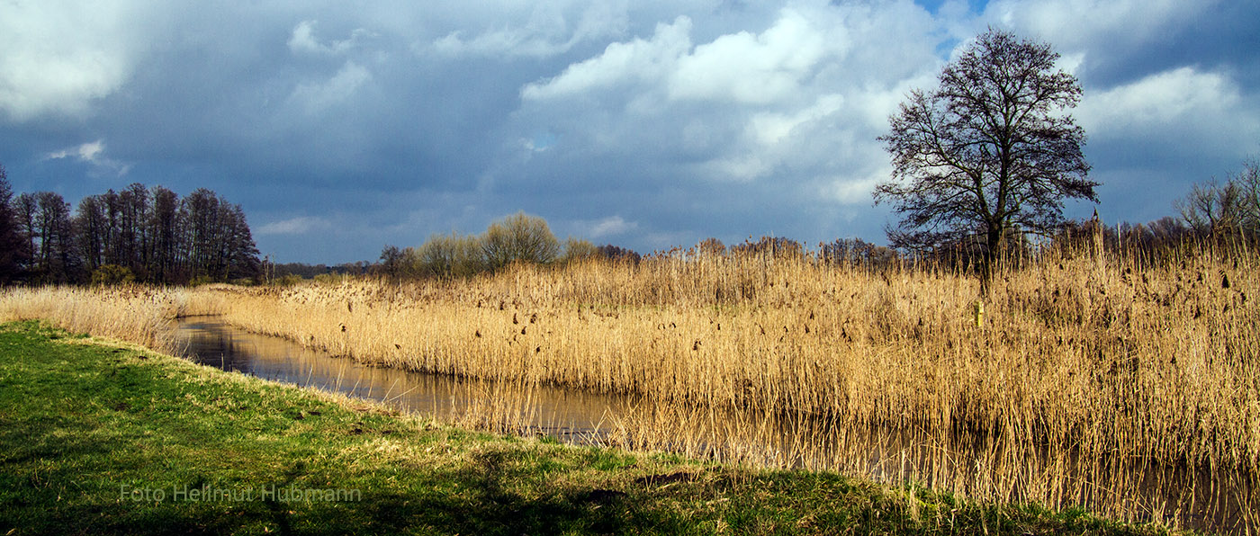 BRANDENBURGISCHE LANDSCHAFT #01