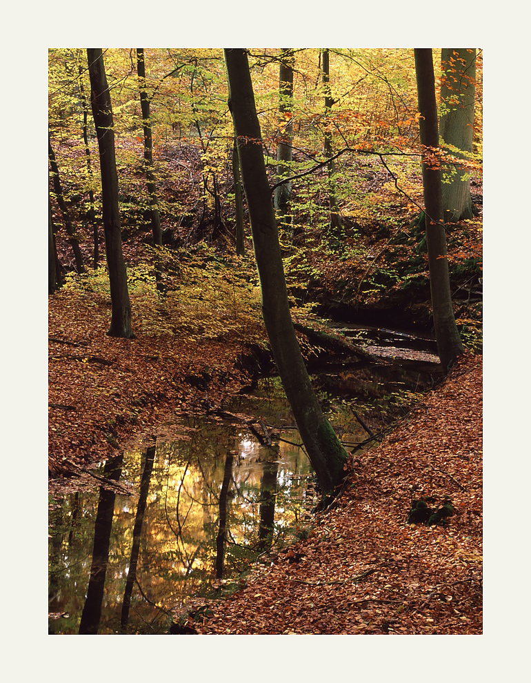 brandenburgische Landschaft