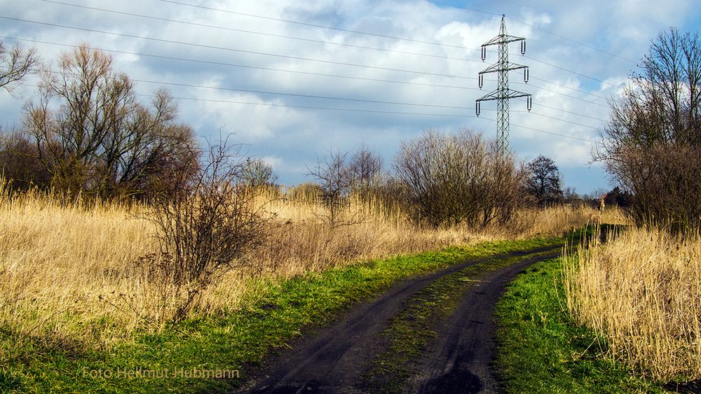 BRANDENBURGISCHE LANDSCHAFT #02