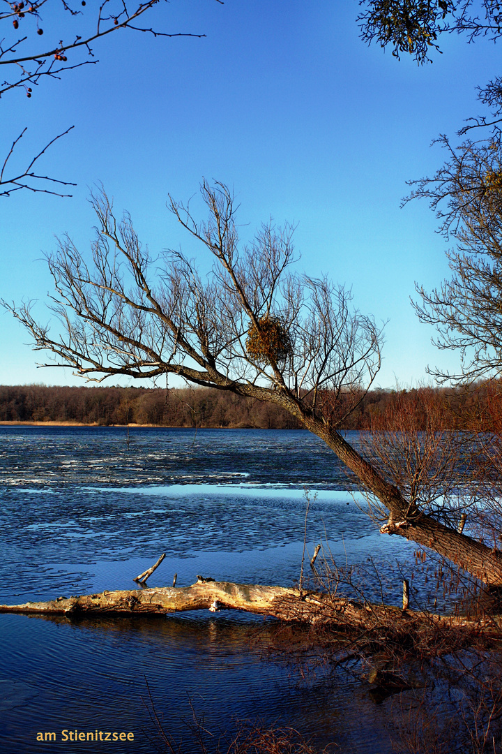 Brandenburgische Seen-1-Stienitzsee im Februar