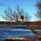 Brandenburgische Seen-1-Stienitzsee im Februar