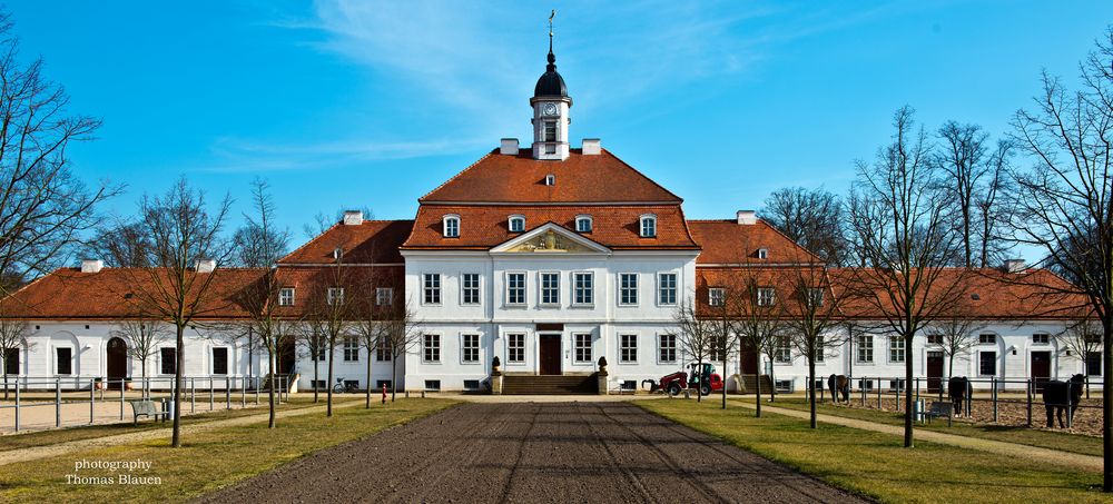 Brandenburgisches Haupt und Landesgestüt Neustadt (Dosse) 2 Foto