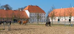 Brandenburgisches Haupt- und Landesgestüt Neustadt (Dosse) 3