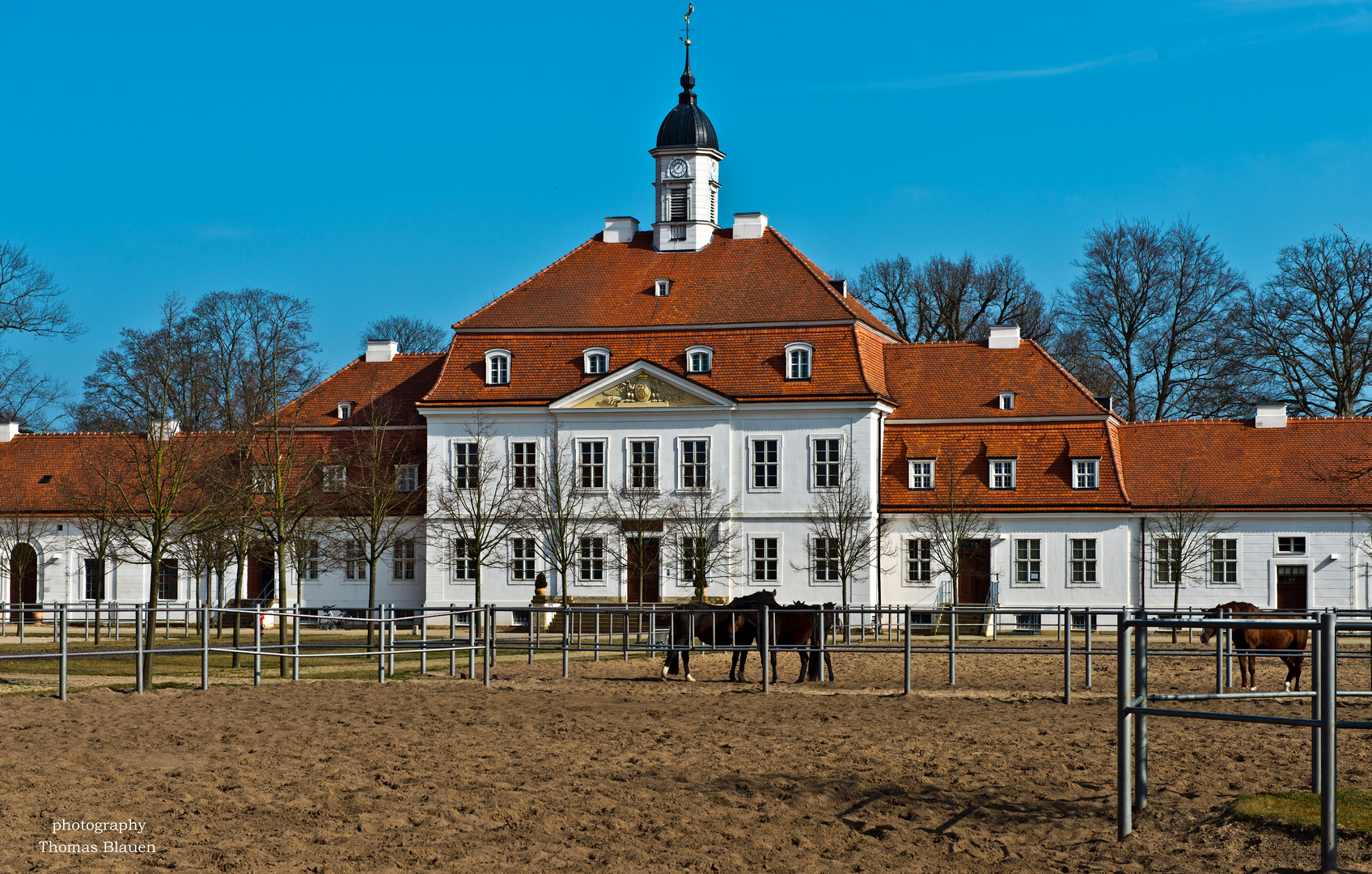 Brandenburgisches Haupt- und Landesgestüt Neustadt (Dosse) 5