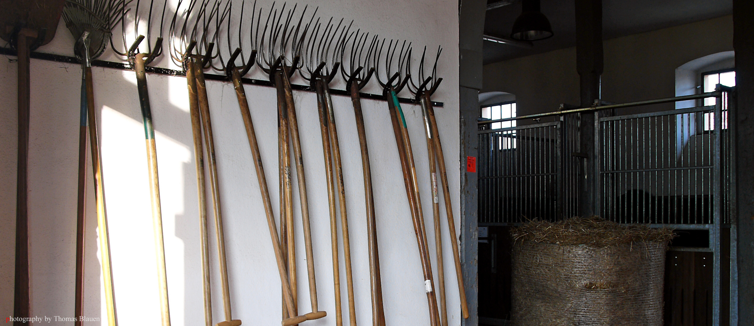 Brandenburgisches Haupt- und Landesgestüt Neustadt (Dosse) Stallung A