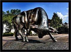 Brander Stier in Aachen