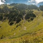 Branderschrofen Pano