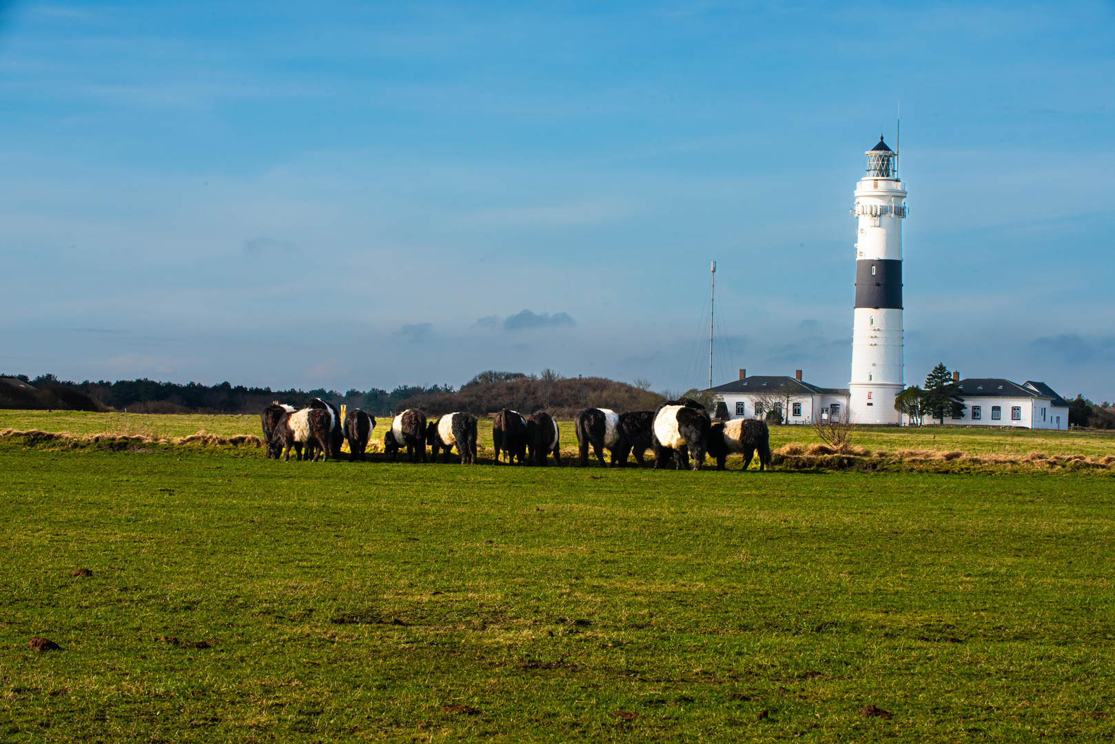 Branderup, Sylt                   5.DSC_7751