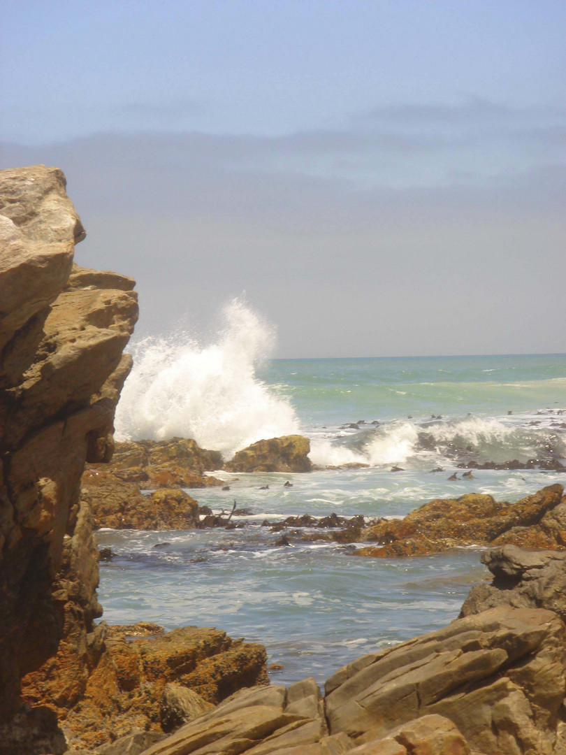 Brandfontein Agulhas National Park Overberg