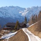 Brandneralmhütte 1800 Meter Ratschings Pfitschtal