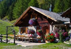 Brandnertal "untere Brüggele Alpe"