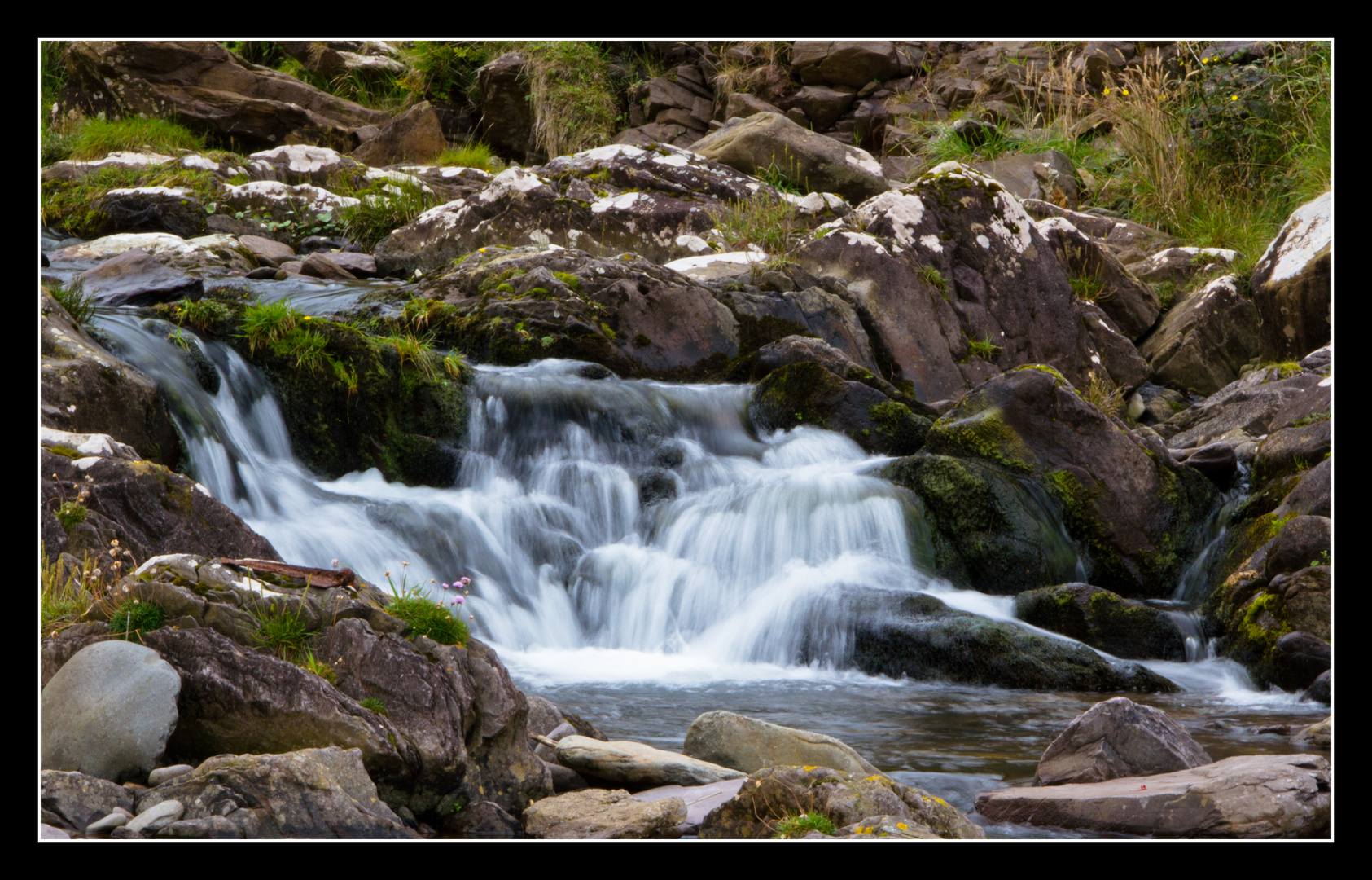 Brandon Creek