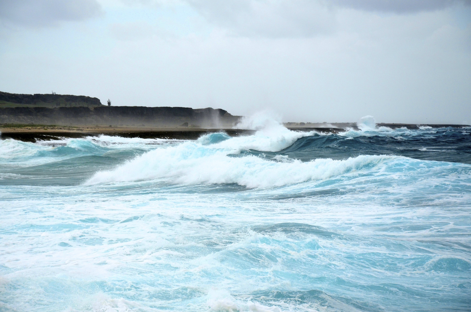 Brandung Auf Bonaire (SAS/2011)