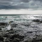 Brandung auf Capitan, Costa Rica (Tamarindo)