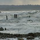 Brandung in der Ostsee