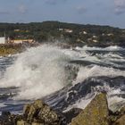 Brandungswellen an der Ostküste Bornholms