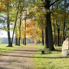 Branitzer Park bei Cottbus: Die Pückleralle am heutigen Morgen