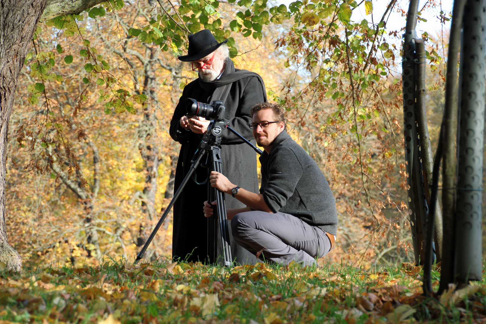 Branitzer Park bei Cottbus: Profis bei der Arbeit