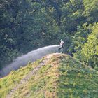 Branitzer Park bei Cottbus: Pyramidensprenger