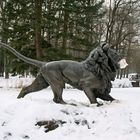 Branitzer Park bei Cottbus: Schneefressender Löwe