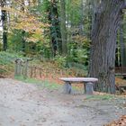 Branitzer Park bei Cottbus: Steinbank in der Nähe des "Vergrabenen Bauers"