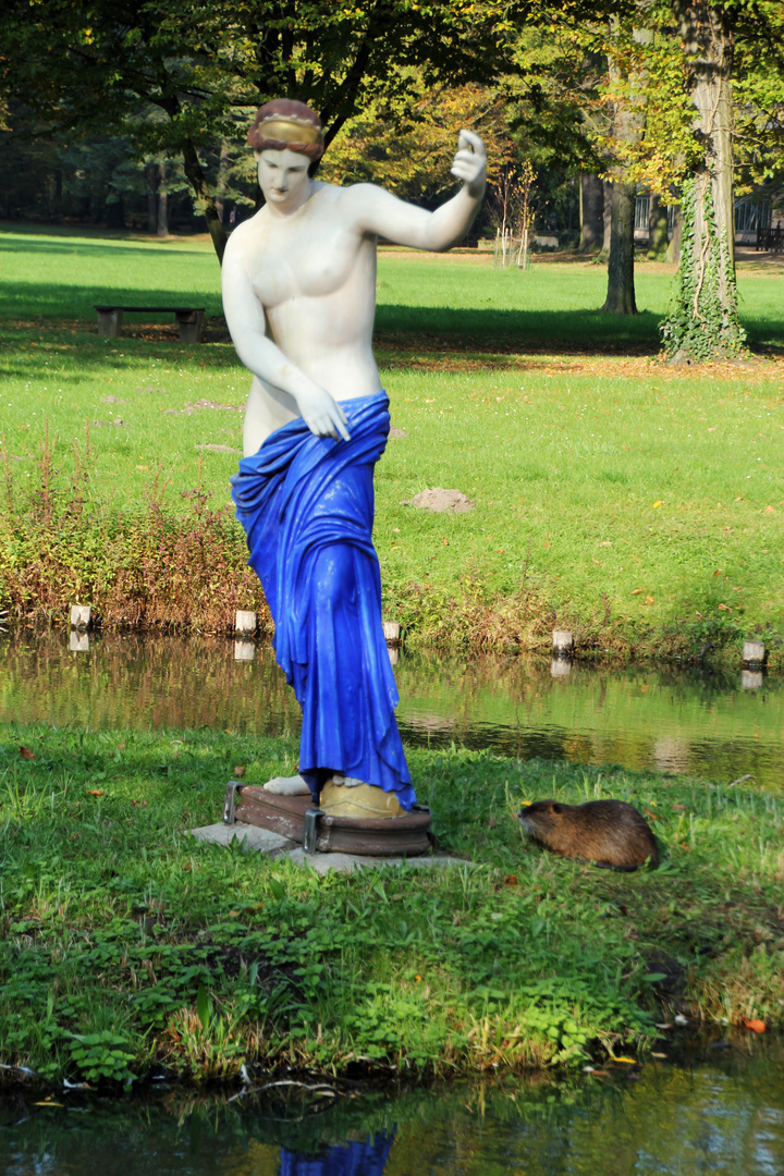 Branitzer Park bei Cottbus: Unerwünschter Besuch