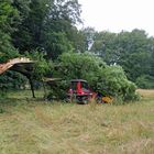 Branitzer Park bei Cottbus: Windbruch