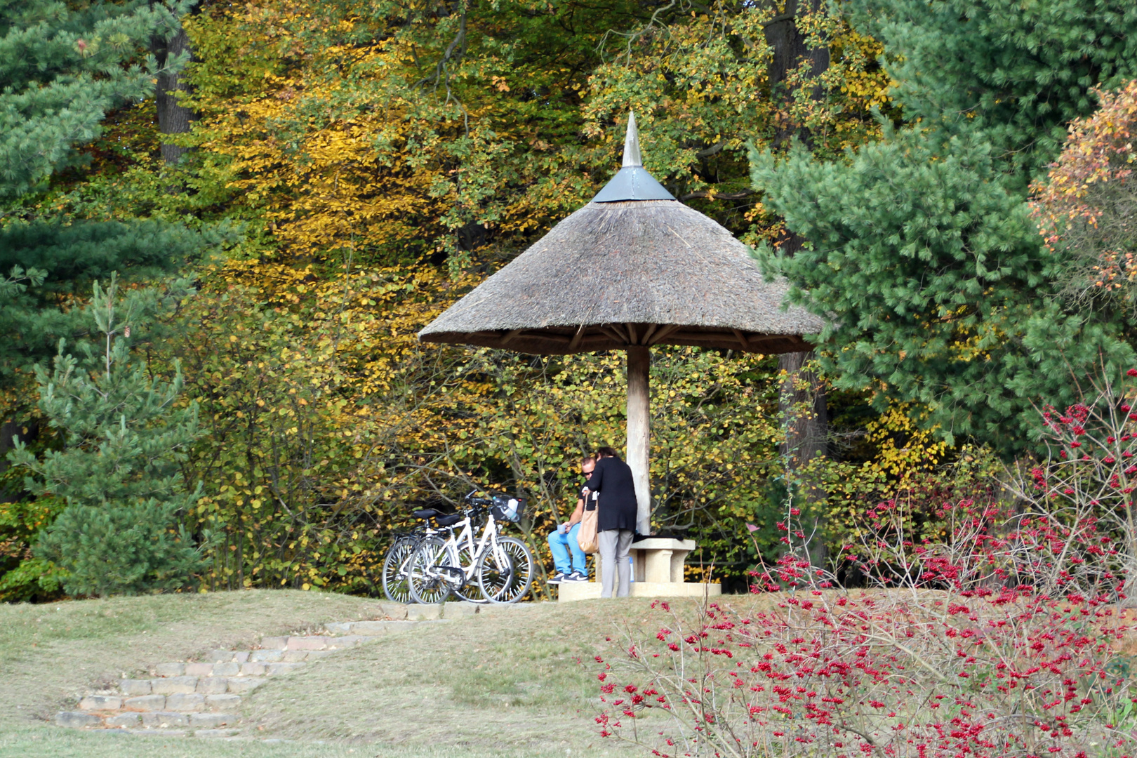 Branitzer Park bei Cotttbus: Der Parasol