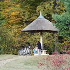 Branitzer Park bei Cotttbus: Der Parasol