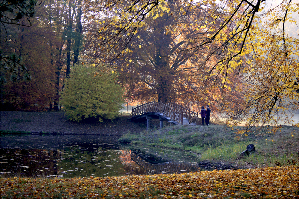 Branitzer Park - Brücke