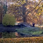 Branitzer Park - Brücke