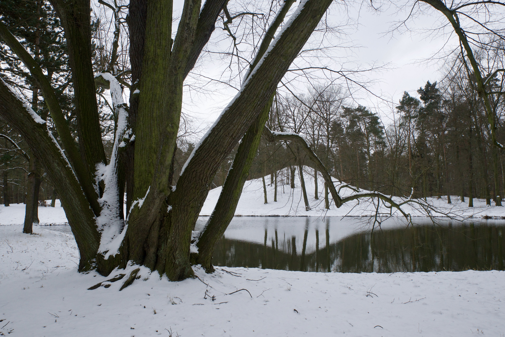 Branitzer Park erneut im Winterkleid   17.03.2018