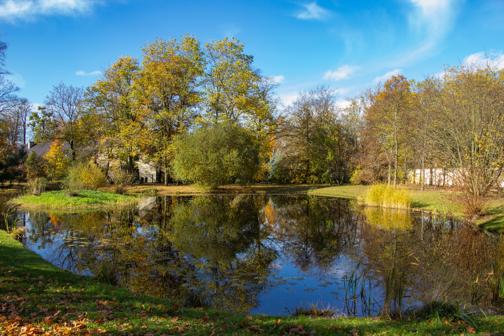 Branitzer Park