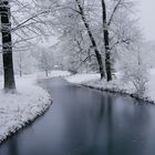 Branitzer Park im Januar