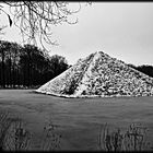 Branitzer Park im Winter