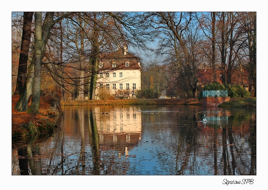 Branitzer Park...Blick auf das Schloß