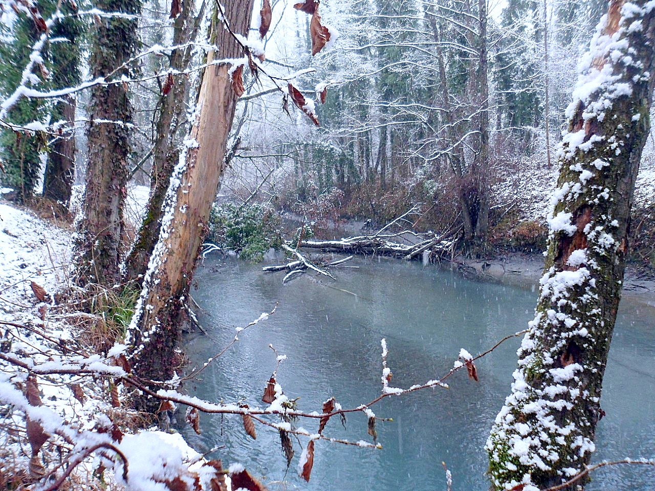 Bras de l'Isère 