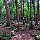 Bras d'Eau National Park'19