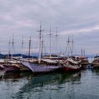 Brasil | Embarcadero en Paraty, Brasil