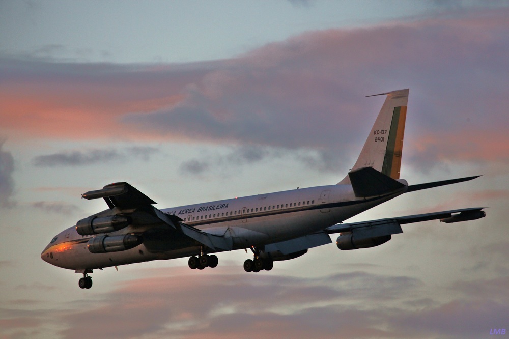 Brasilianer in Tegel