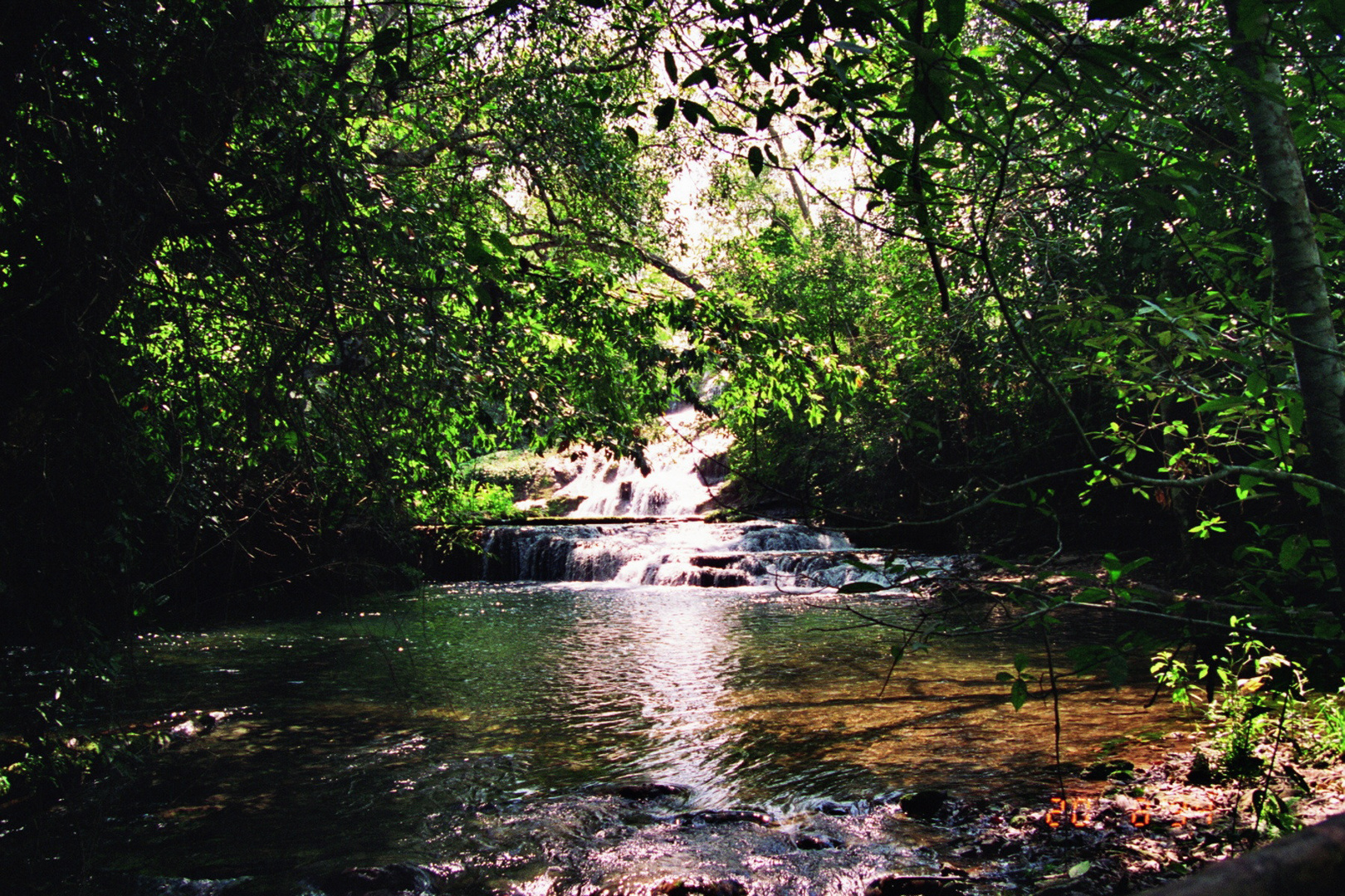 Brasilien - Zauber im Pantanal