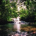 Brasilien - Zauber im Pantanal