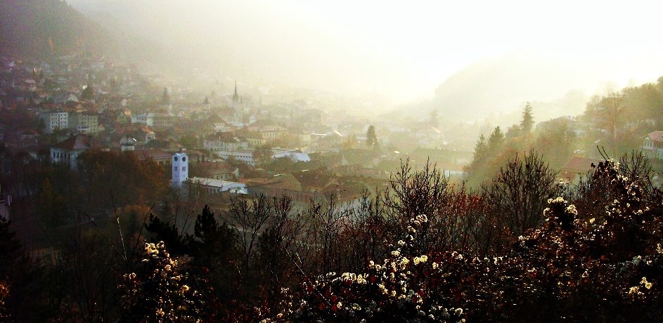 Brasov