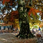 Brasserie en automne