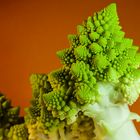 Brassica oleracea(Romanescu)